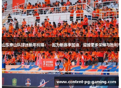 山东泰山队球迷新年祝福：一起为新赛季加油，迎接更多荣耀与胜利！