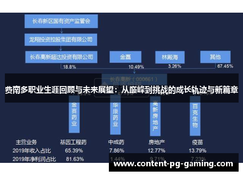 费南多职业生涯回顾与未来展望：从巅峰到挑战的成长轨迹与新篇章