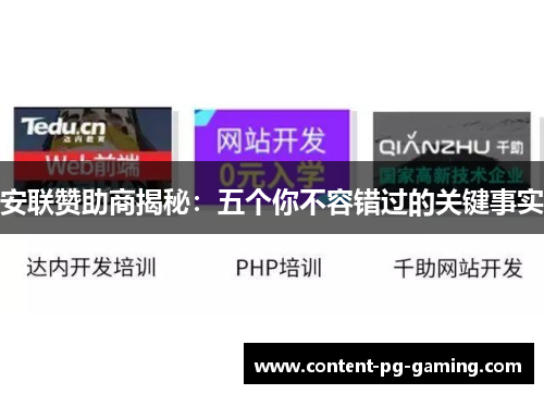 安联赞助商揭秘:五个你不容错过的关键事实 安联赞助商揭秘:五个你不容错过的关键事实