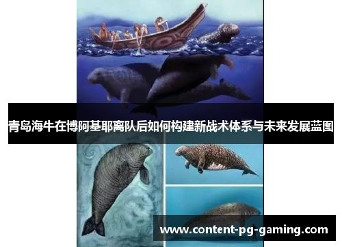 青岛海牛在博阿基耶离队后如何构建新战术体系与未来发展蓝图